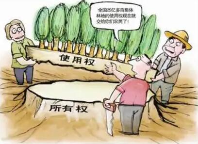 农村集体土地使用证是什么?农村集体土地使用权可以转让吗?
