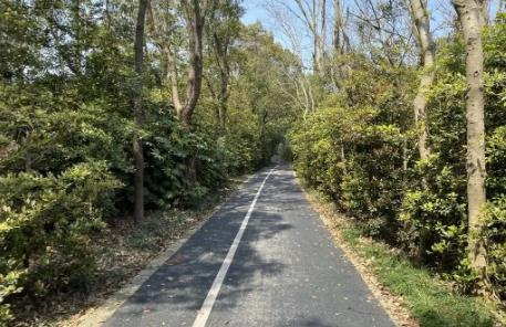 2022非法占用林地罪的立案标准是什么?非法占用林地罪判几年?