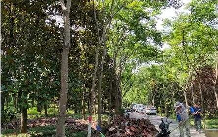 2022非法占用林地罪的立案标准是什么?非法占用林地罪判几年?