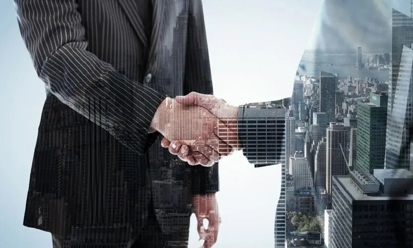 董事和股东的区别?股东的权利和义务?