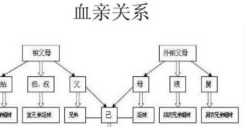 直系血亲包括哪些呢?