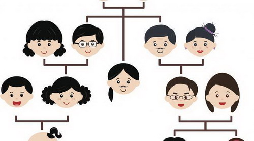 直系姻亲有哪些成员呢?