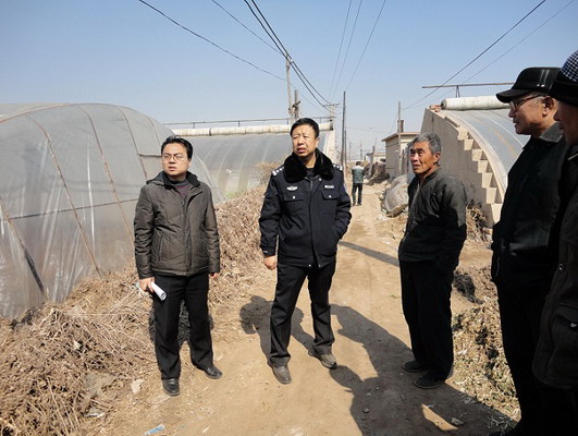 连山区锦郊街道锦东村村民孟祥龙和孟祥福为亲哥俩,两家土地位于锦东