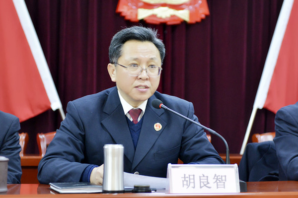 市院党组副书记,副检察长胡良智主持会议