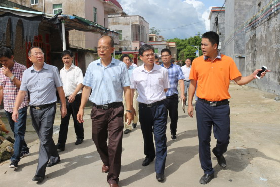 张健生到程村镇胡荔村委会新合村调研美丽乡村建设工作