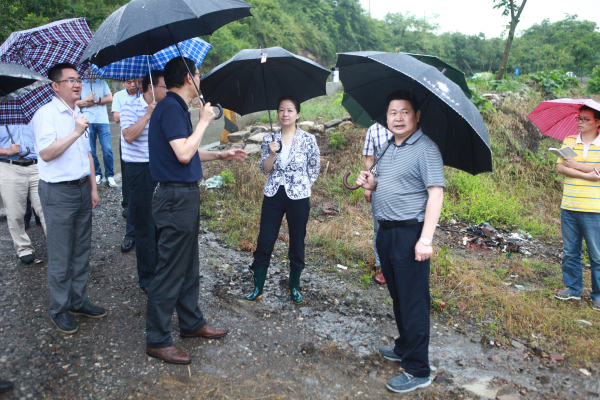 吴静检查夷陵区防汛抗旱工作 湖北新闻 大律师网