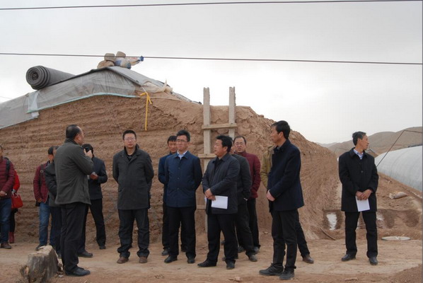 省委组织部带领环县木钵镇观摩组学习观摩靖远县东湾镇农业产业发展