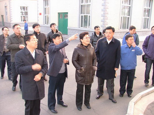 市委书记,市人大常委主任张晶川,市委常委,市政府党组成员周景隆以及