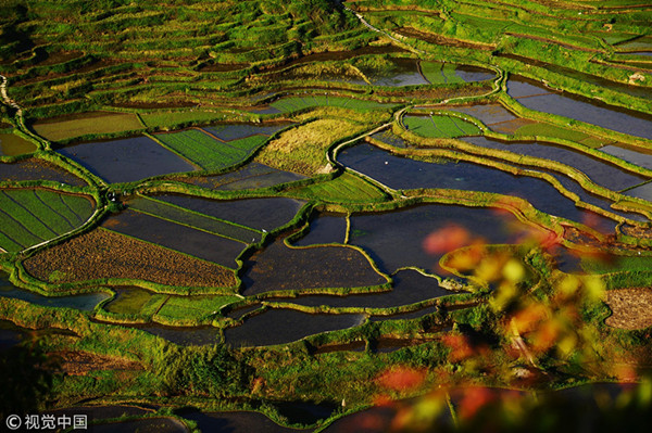 高要梯田:醉人五彩梯田好花紅村是一個以布依族為主體的民族村,是著名