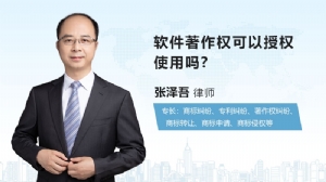 软件著作权可以授权使用吗?
