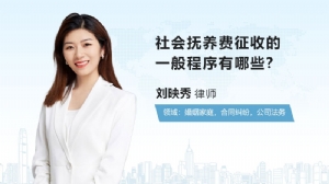 社会抚养费征收的一般程序有哪些?