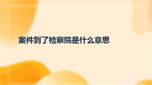 案件到了检察院是什么意思