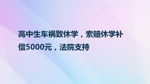 高中生车祸致休学，索赔休学补偿5000元，法院支持